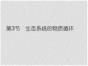 高中生物第一輪復(fù)習(xí) 第3節(jié)生態(tài)系統(tǒng)的物質(zhì)循環(huán)課件