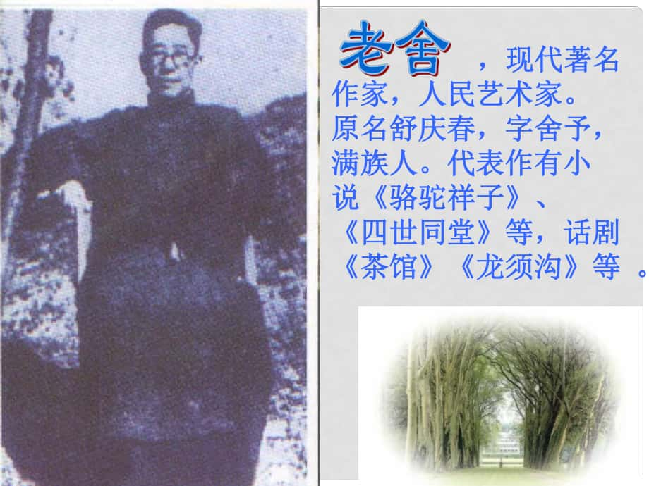 山東省鄒平縣七年級語文下冊 第三單元 名著導讀 駱駝祥子課件 新人教版_第1頁