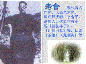 山東省鄒平縣七年級(jí)語文下冊(cè) 第三單元 名著導(dǎo)讀 駱駝祥子課件 新人教版