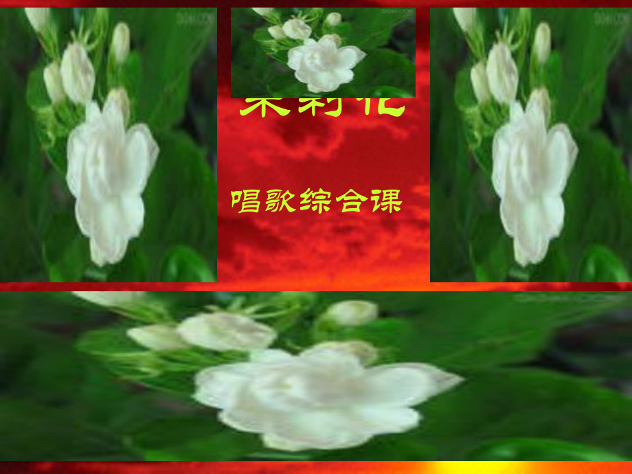 初中音乐 百卉含英茉莉花课件件_第1页