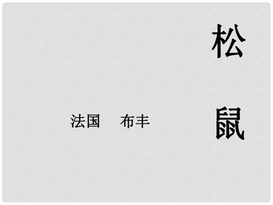 河南省洛陽市第二外國(guó)語學(xué)校八年級(jí)語文上冊(cè) 松鼠課件_第1頁