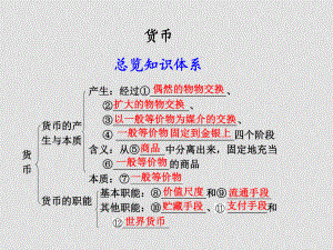 高中政治 第二節(jié) 貨幣課件