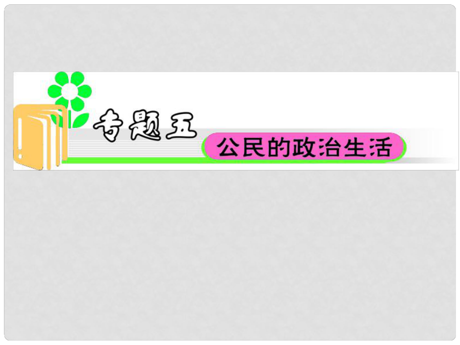 江蘇省高中政治總復(fù)習(xí) 專題5 公民的政治生活課件_第1頁