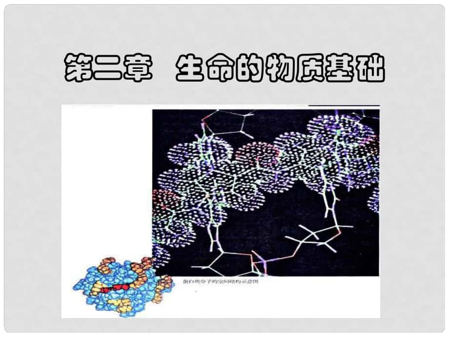 高一生物：第2章《生命的物質(zhì)基礎(chǔ)》課件（1）（滬科版第一冊）_第1頁