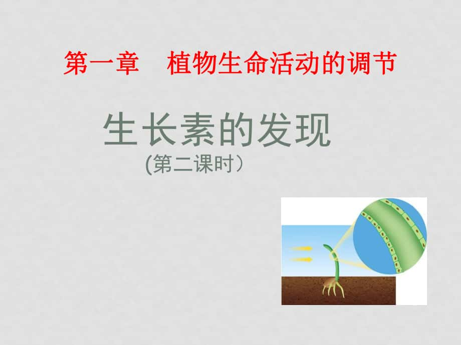 高中生物《植物激素》课件（1）浙教版必修三_第1页