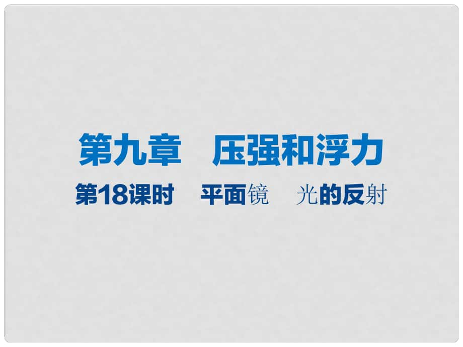 江苏省大丰市中考物理 第18课时 平面镜 光的反射复习课件_第1页