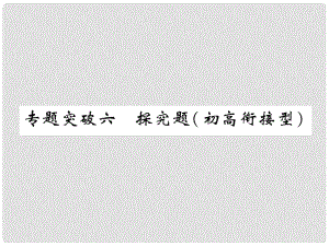 中考化學(xué)畢業(yè)總復(fù)習(xí) 第2編 重點(diǎn)專題突破篇 專題突破6 探究題（初高銜接型）課件