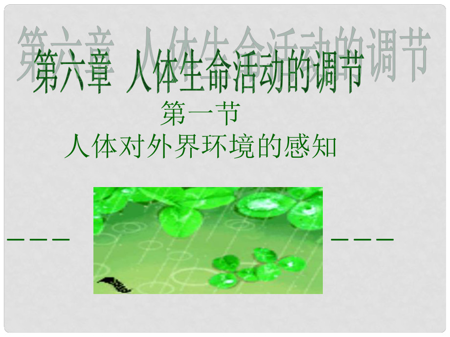 七年級生物下冊 第四單元 第六章 第一節(jié) 人體對外界環(huán)境的感知課件2 （新版）新人教版_第1頁