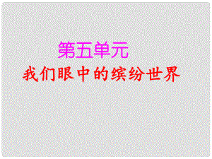 三年級語文上冊 第五單元 習(xí)作《我們眼中的繽紛世界》課件1 新人教版