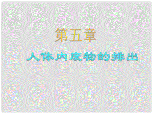 吉林省雙遼市七年級(jí)生物下冊(cè) 第四單元 第五章 人體內(nèi)廢物的排出課件 （新版）新人教版