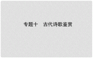 山東省德州市中考語文 專題復(fù)習(xí)十 古代詩歌鑒賞課件