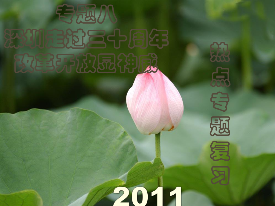 中考熱點(diǎn)系列 專(zhuān)題八 深圳走過(guò)三十周年 改革開(kāi)放顯神威_第1頁(yè)