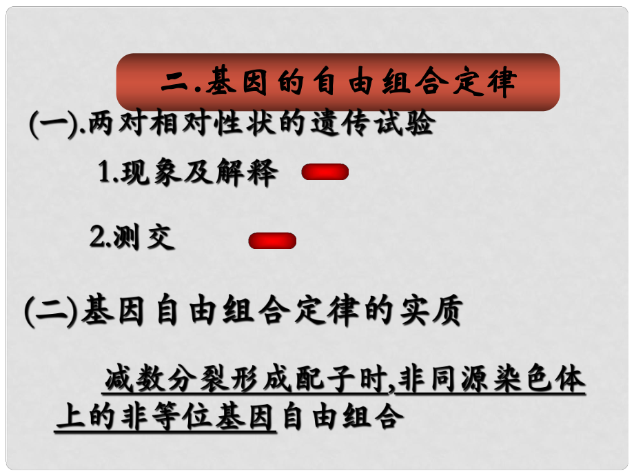 高中生物：基因的自由組合定律 備課課件（蘇教版必修2）_第1頁