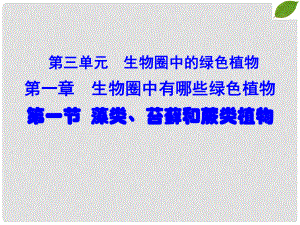 吉林省長市七年級(jí)生物上冊 第三單元 第一章 第一節(jié) 藻類、苔蘚和蕨類植物課件1 （新版）新人教版