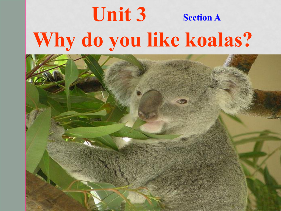 七年級(jí)英語下冊(cè) Unit3Why do you like koalas課件 牛津譯林版_第1頁