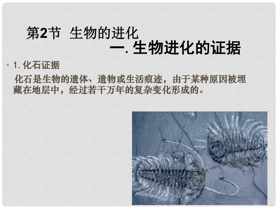 湖北省漢川實驗中學(xué)八年級生物上冊 生物的進(jìn)化課件 人教新課標(biāo)版_第1頁