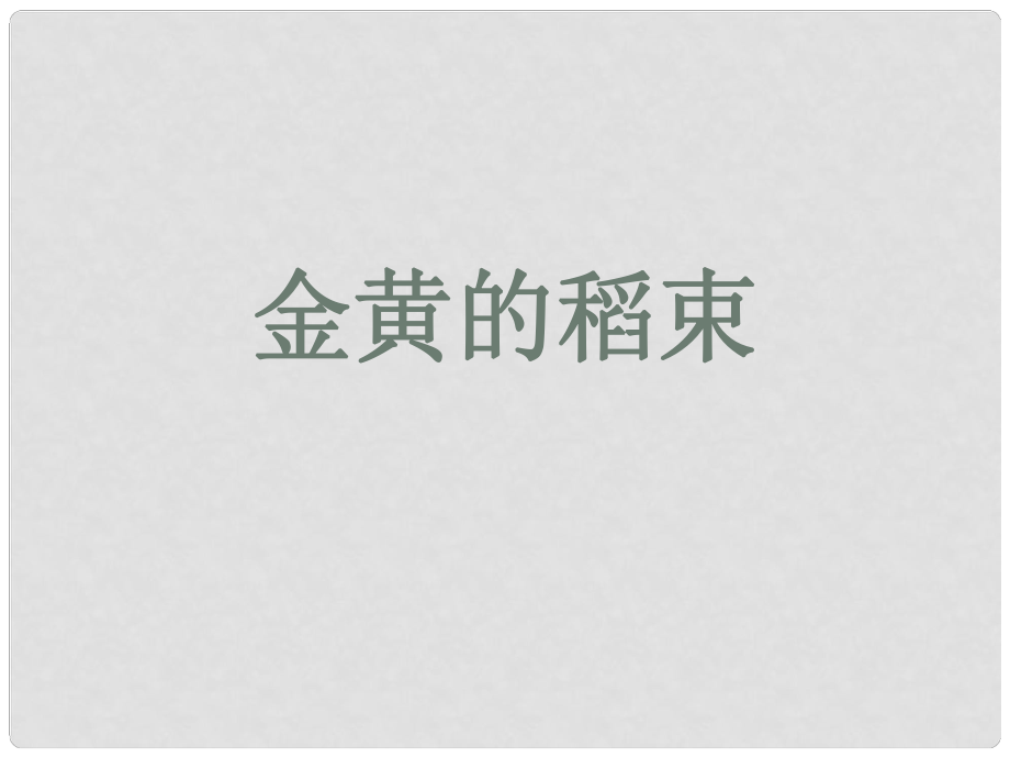 高中語文 《金黃的稻束》課件2 新人教版選修《中國現(xiàn)代詩歌散文欣賞》_第1頁