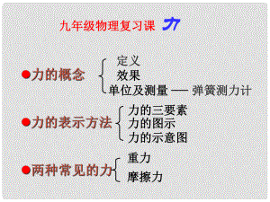 陜西省神木縣大保當(dāng)中學(xué)九年級物理 《力》復(fù)習(xí)課件