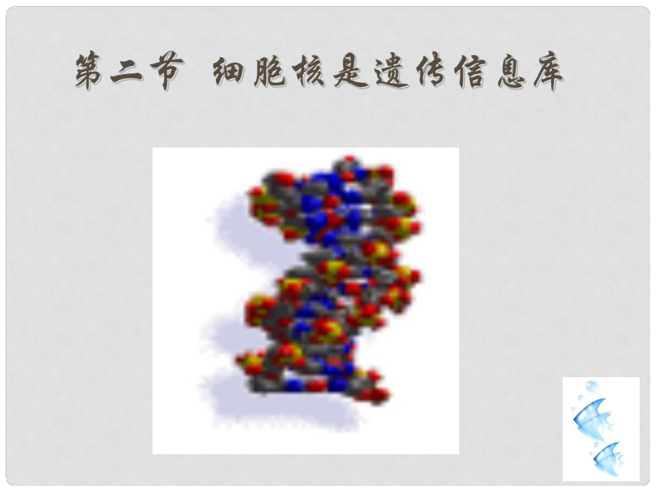 吉林省長市七年級生物上冊 第二單元 第二章 第二節(jié)《細胞核是遺傳信息庫》課件2 （新版）新人教版_第1頁