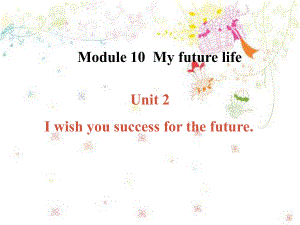 九年級(jí)英語下冊(cè)Unit 2I wish you success for the future.課件外研版