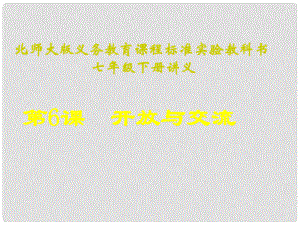 山東省聊城臨清二中七年級(jí)歷史下冊(cè) 第6課《開放與交流》課件 北師大版