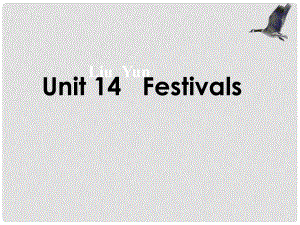 高一英語下Unit 14 Festivals課件