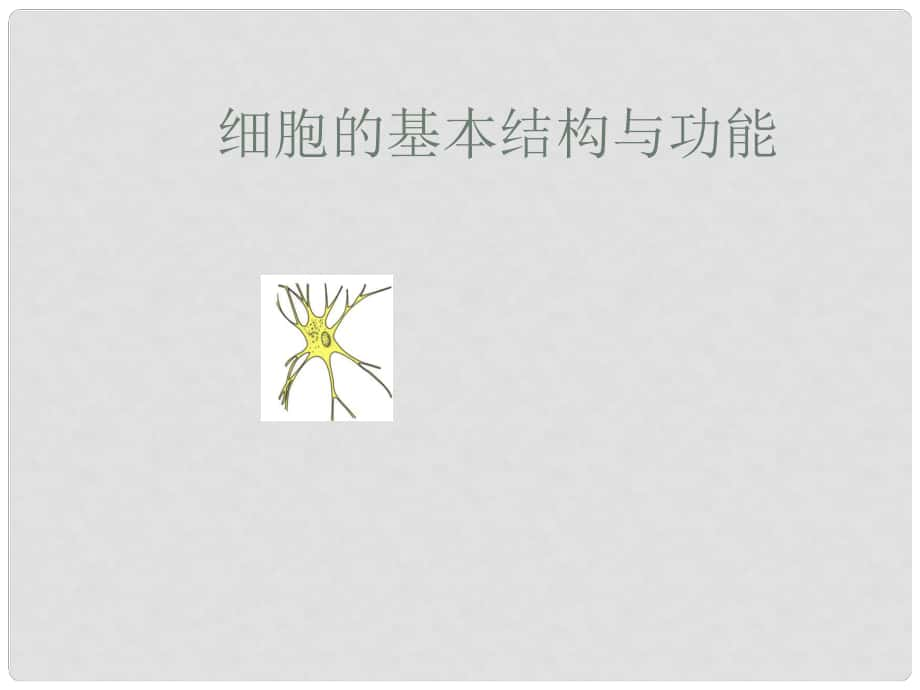 湖北省漢川實驗中學(xué)七年級生物上冊 細胞的基本結(jié)構(gòu)和功能課件 人教新課標(biāo)版_第1頁