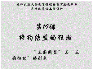 江蘇省連云港東?？h平明鎮(zhèn)中學九年級歷史上冊 第19課 締約結(jié)盟的狂潮課件 北師大版