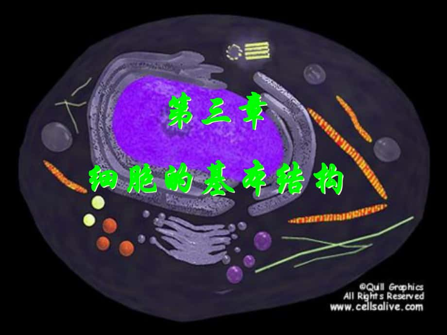 高中生物 系統(tǒng)的邊界細(xì)胞膜課件 人教版必修1_第1頁