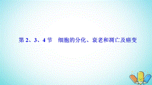 生物 第六章 細(xì)胞的生命歷程 第2、3、4節(jié) 細(xì)胞的分化、衰老和凋亡及癌變 新人教版必修1