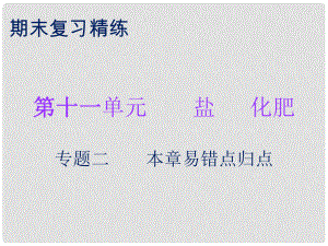 九年級化學下冊 期末復習精煉 第十一單元 鹽 化肥 專題二 本章易錯點歸點課件 （新版）新人教版