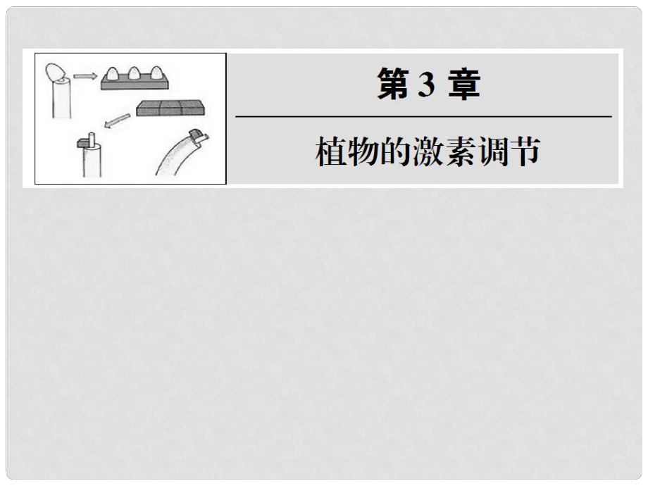 高中生物第一輪復(fù)習(xí) 第1、2、3節(jié)植物生長素的發(fā)現(xiàn)、生長素的生理作用、其他植物激素課件_第1頁