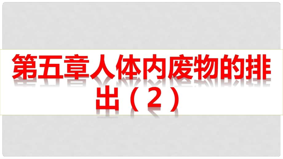 广东省河源市七年级生物上册 4.5 人体内废物的排出（第2课时）课件 （新版）新人教版_第1页