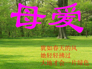 九年級(jí)語文《綜合性學(xué)習(xí)——獻(xiàn)給母親的歌》課件 人教版