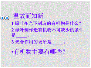 吉林省長(zhǎng)市七年級(jí)生物上冊(cè) 第三單元 第四章《綠色植物對(duì)有機(jī)物的利用》課件 （新版）新人教版