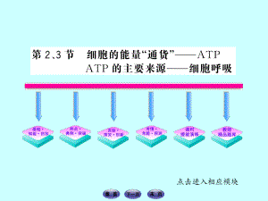 细胞的能量通货--ATP--ATP的主要来源-细胞呼吸PPT课件