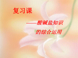 九年級(jí)化學(xué)專題復(fù)習(xí) ：酸堿鹽課件魯教版