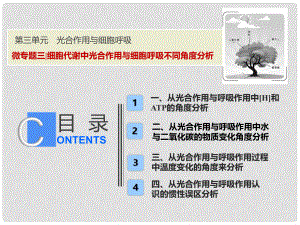 高考生物一輪復習 第三單元 光合作用與細胞呼吸 微專題三 細胞代謝中光合作用與細胞呼吸不同角度分析課件 蘇教版