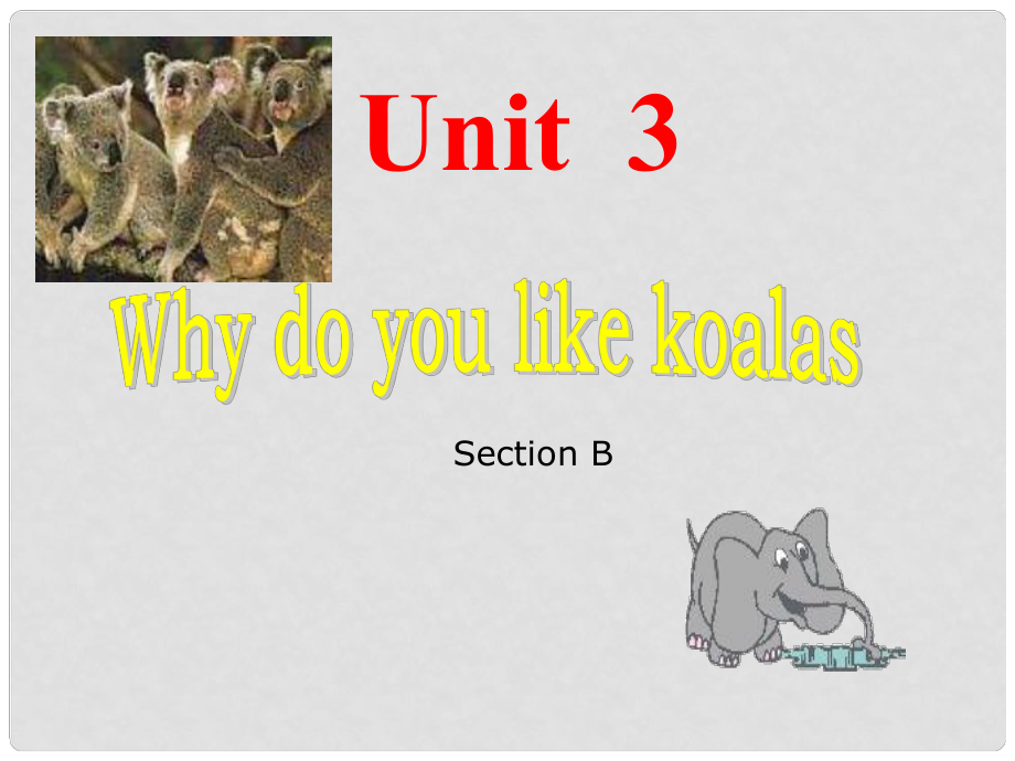 山東省日照開(kāi)發(fā)區(qū)中學(xué)七年級(jí)英語(yǔ)《Unit 3 Why do you like koalas》課件_第1頁(yè)