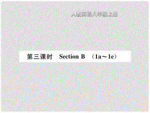 八年級英語上冊 Unit 3 I am more outgoing than my sister（第3課時）Section B習(xí)題課件 （新版）人教新目標(biāo)版