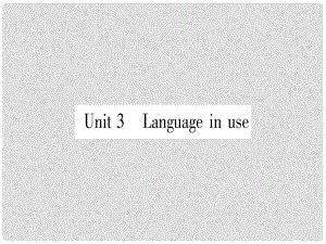 廣西北部灣經(jīng)濟區(qū)九年級英語下冊 Module 1 Travel Unit 3 Language in use習題課件 （新版）外研版