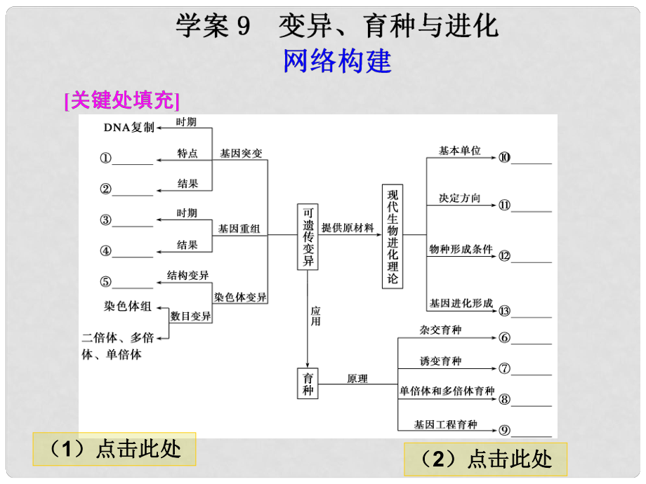 高考二輪專題復(fù)習(xí) 第一部分專題四 9變異、育種與進(jìn)化課件_第1頁