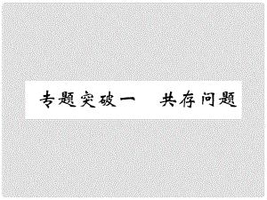 中考化學(xué)畢業(yè)總復(fù)習(xí) 第2編 重點專題突破篇 專題突破1 共存問題課件