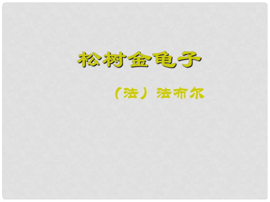 江苏省太仓市第二中学八年级语文下册 松树金龟子课件 人教新课标版_第1页