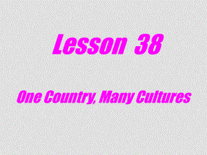 九年級(jí)英語(yǔ)下：Unit 5 Culture Shapes Uslesson 38 One Country,Many Cultures課件冀教版