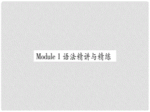 廣西北部灣經(jīng)濟(jì)區(qū)九年級(jí)英語(yǔ)下冊(cè) Module 1 Travel語(yǔ)法精講與精練習(xí)題課件 （新版）外研版