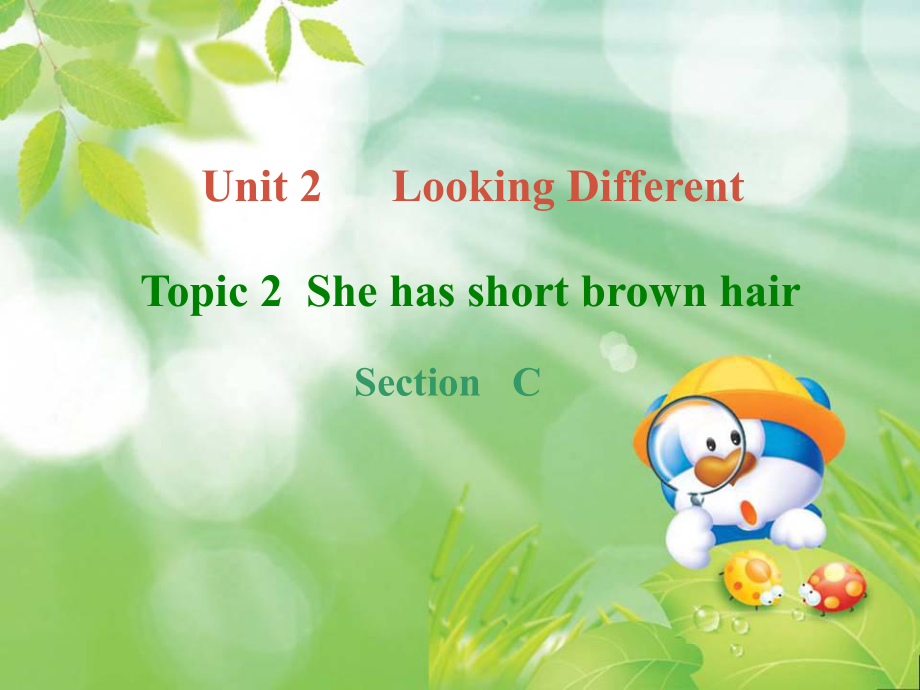 七年級英語上Unit 2 Looking Different Topic 2 What color is his hairSection c課件仁愛版_第1頁