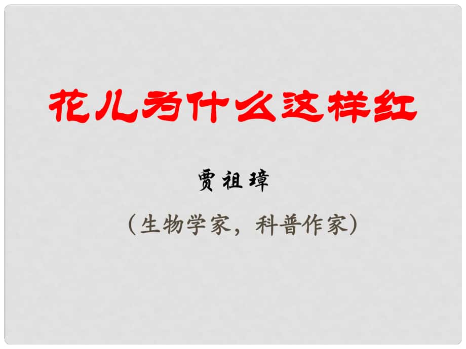 江蘇省海安縣八年級(jí)語文下冊(cè) 第三單元 13花兒為什么這樣紅課件 蘇教版_第1頁