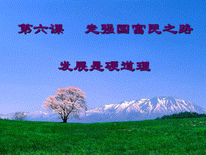 九年級政治：第六課《走強國富民之路》課件魯教版