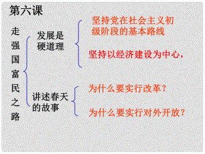 山東省肥城市湖屯鎮(zhèn)初級中學九年級政治《第7課 走科教興國之路》課件